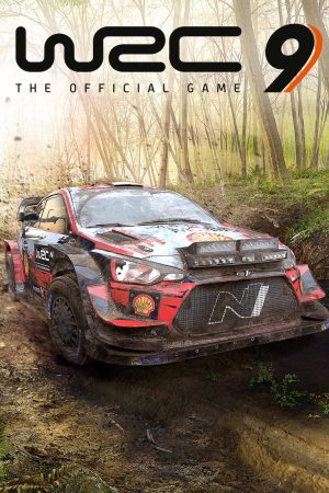 WRC 9 FIA World Rally Championship Deluxe Edition Steam Global