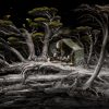 Samorost 3 Steam Key GLOBAL - Image 3
