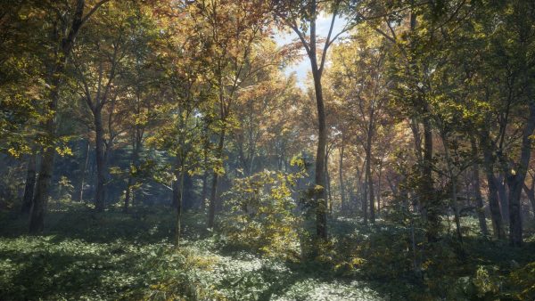 theHunter: Call of the Wild 2019 Edition Steam Key EUROPE - Image 2